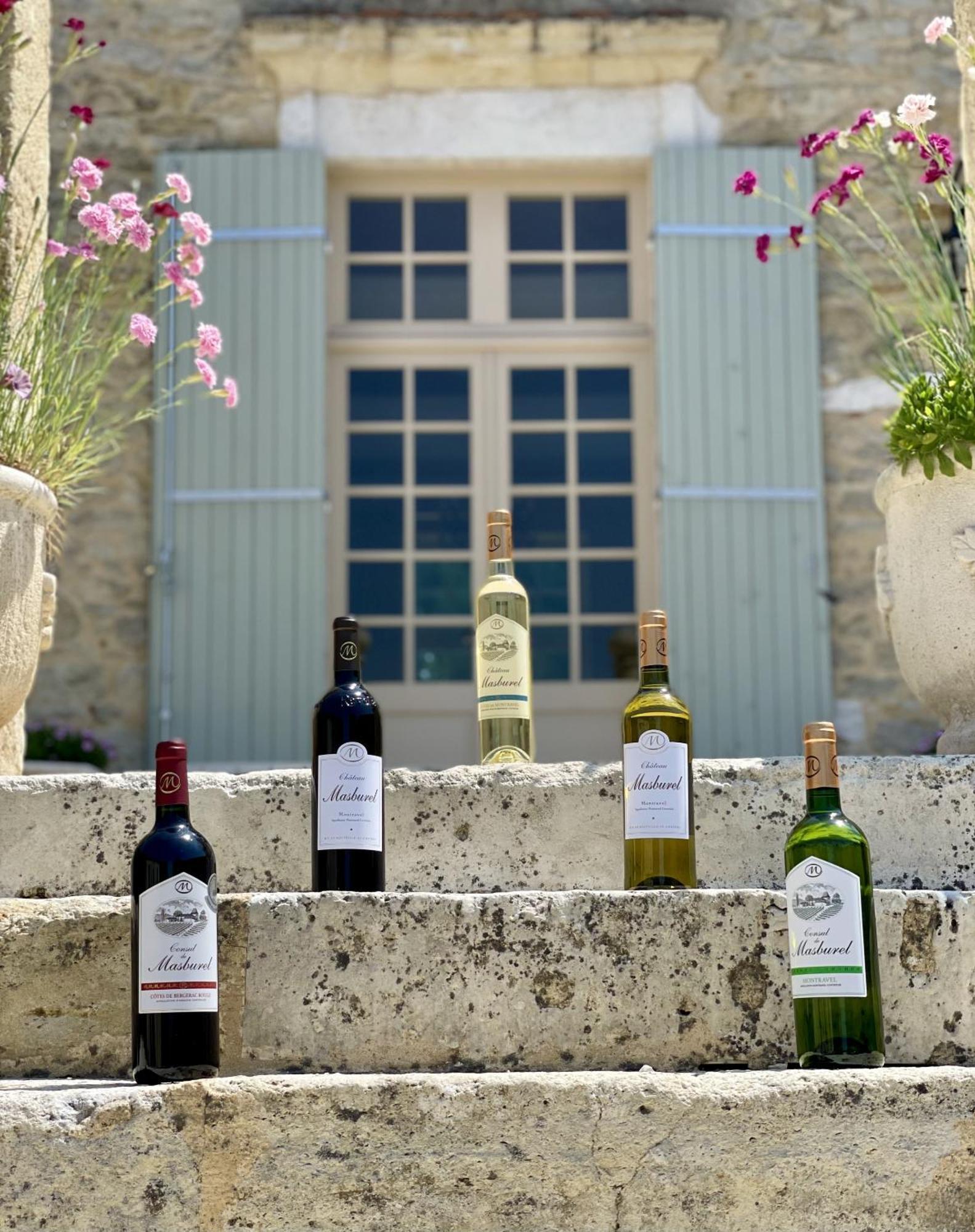 Chateau Masburel Fougueyrolles Εξωτερικό φωτογραφία